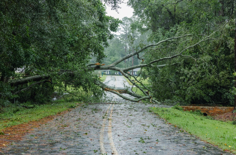 summer storm damage